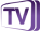 TECHVED TV Logo